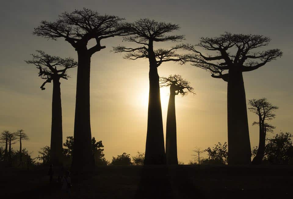 Madagascar - the red island in the Indian Ocean in front of the coast ...